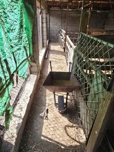 Журнальные столы: Низкий деревянный стол-платформа/тахта. - Материал каркаса: массив — 11