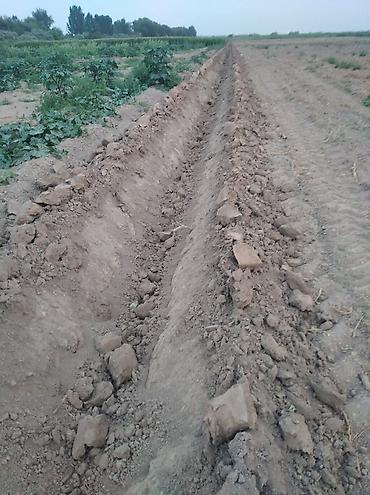 Арычники: Арычник новый — 8