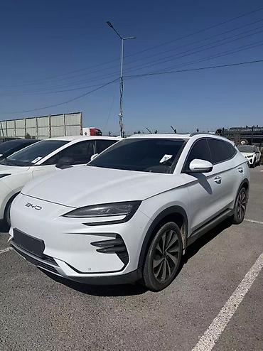 BYD: BYD Song Plus: 2024 г., 0.1 л, Автомат, Электромобиль, Кроссовер — 1