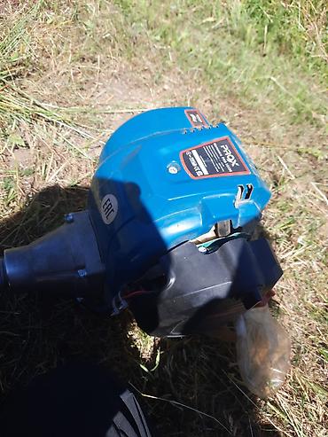 air pump: Двигатель/мотор от бензокосы (триммера) PROX Описание: - Бензиновый — 1