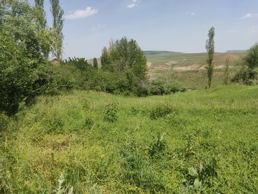 Продажа участков: 10 соток, Для сельского хозяйства, Красная книга