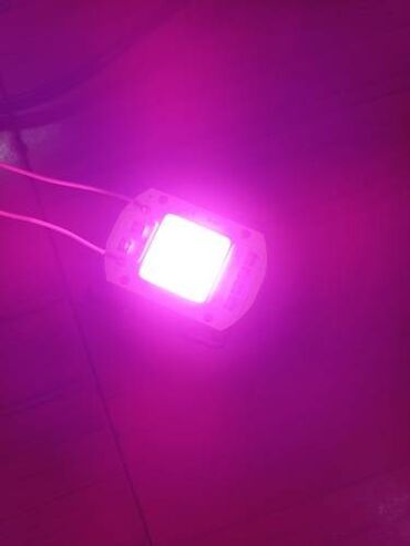 Baštenska rasveta: Led Reflektor Rast Biljki Led Grow Full Spectrum 50w 220v — 12