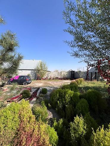 Продажа квартир: 5 и более комнат, 150 м² — 1