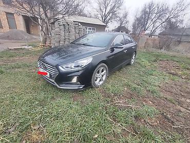 Hyundai: Hyundai Sonata: 2019 г., 1.6 л, Автомат, Бензин, Седан — 12