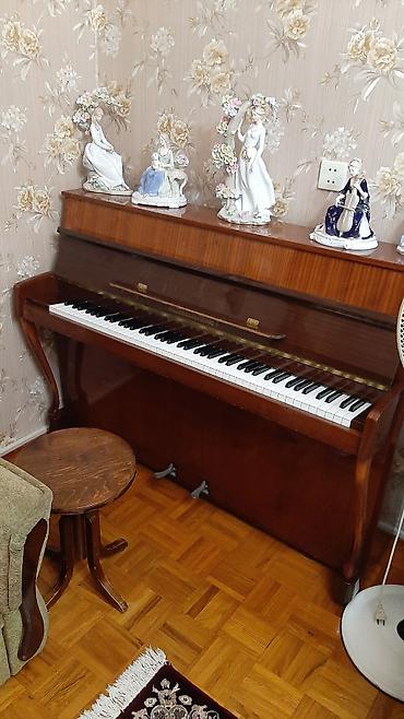фано инструмент: Alman pioninası çox səliqəlidir — 3
