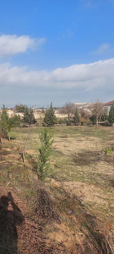 nardaranda torpaq: 24 sot, Tikinti — 1