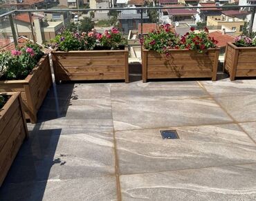 Bitkilər üçün dibçəklər: Restoranlar üçün dibçək qiymətlər fərqlidir Qiymət şərti qiymətdir — 6