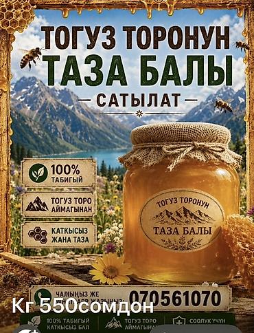 бутыли: Натуральный мёд из Тогуз-Торо - 100% натуральный - Сбор: регион — 1