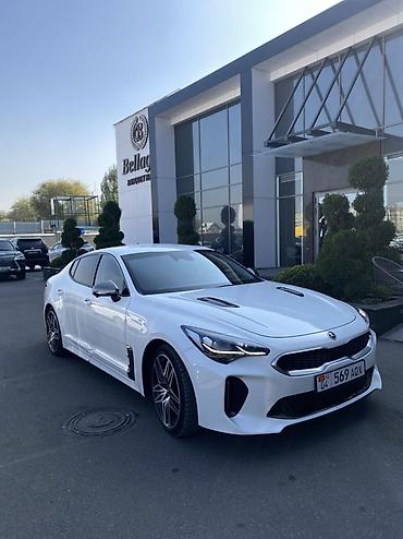 launch pro elite: Kia Stinger: 2021 г., 2.5 л, Бензин, Лифтбек — 1