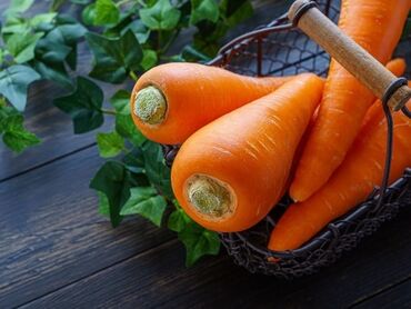 кресло кровать цена бишкек: Сабиз Чекене