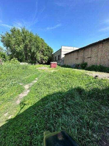 аренда футбольная поля: 8 соток, Бизнес үчүн, Кызыл китеп