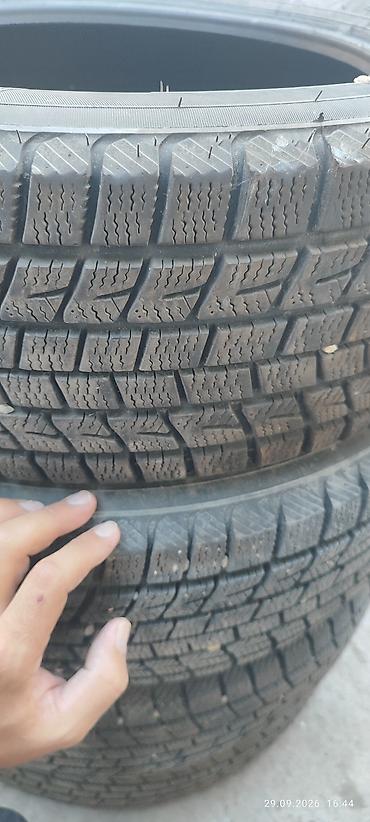 Шины: Зимние шины Roadstone (Nexen) Winguard Arctic S-9, без шипов. почти — 6