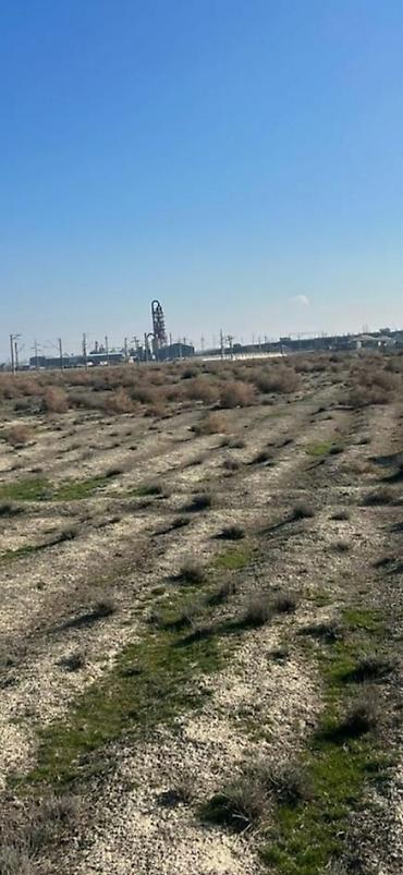 ticari daşınmaz əmlakın satışı: 150 sot, Biznes üçün, Mülkiyyətçi, Kupça (Çıxarış) — 5