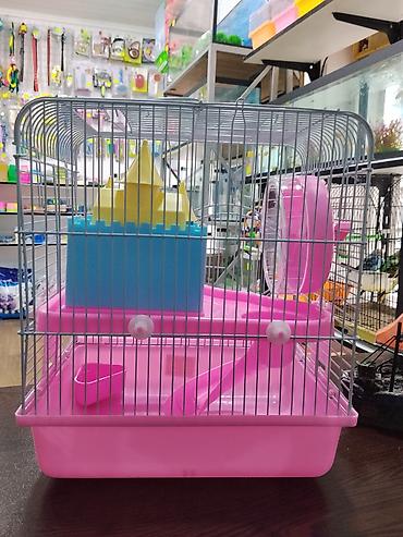 Gəmiricilər: Xamyak cunqarik bir cut ag vəya boz: Bir qəfəs bir kq yem iki aylıq — 9