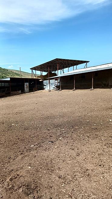 Продажа участков: 100 соток, Красная книга — 3