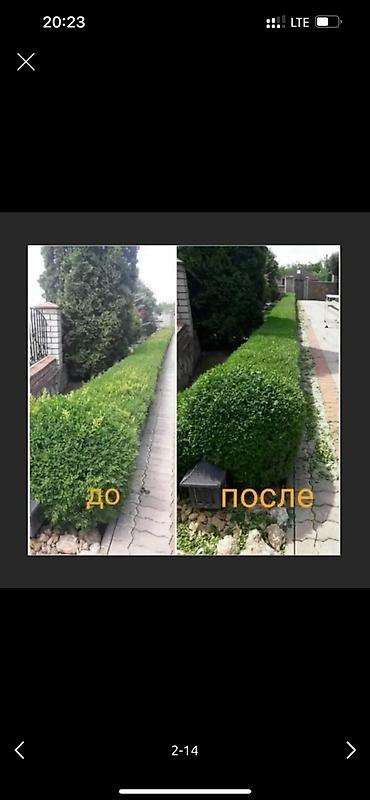 Дворники, садовники: 🌱Я Садовник приходящий раз в неделю Стрижка живой — 2