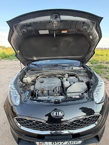 авто маркер: Kia Sportage: 2020 г., 2.4 л, Автомат, Бензин, Кроссовер — 2