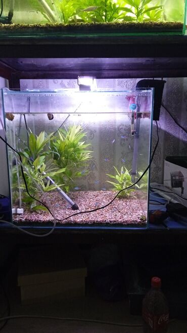 фильтр для аквариума: Продам аквариум на 125 литров со всем в комплекте фильтр свет