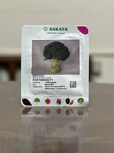 Другие овощные культуры: Семена овощных культур SAKATA (профессиональная серия, фасовка по 1000 — 14