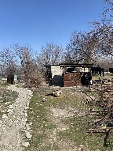 Продажа дач: Продаётся дом с участком. - Одноэтажный дом из кирпича с — 16