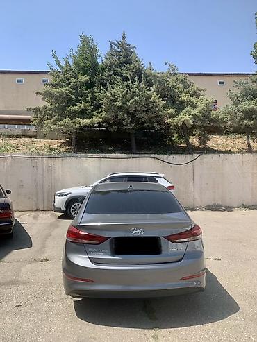 Hyundai: Hyundai Elantra: 2 l | 2017 il Sedan — 8