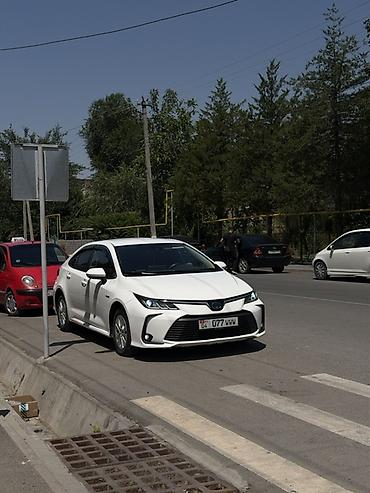camry xv25: Toyota Corolla: 2019 г., 1.8 л, Автомат, Гибрид, Седан — 2