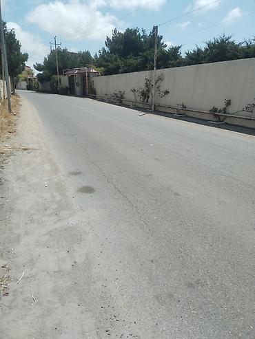 sahe: 6 sot, Tikinti, Makler, Kupça (Çıxarış) — 1