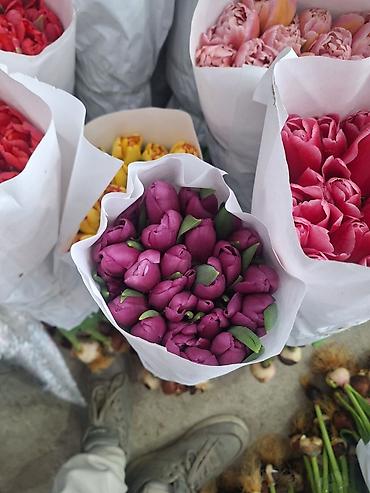 Букеты из живых цветов: Г.Ош оптом и розницу. Тюльпаны с луковицами, срезка «на поле» в — 16