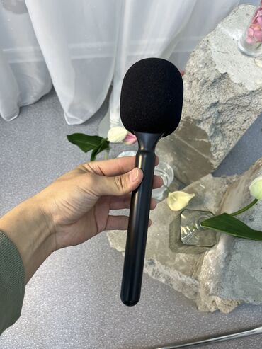 микрофон в аренду: Мульяж для микрофона