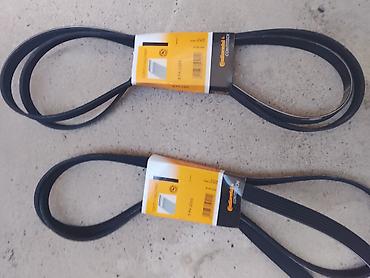 opel mator: Continental ContiTech Conti-V MultiRib çox yivli kəmərlər Məhsul — 2