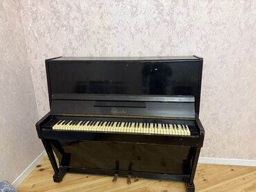 пианино сколько стоит: Piano, Akustik