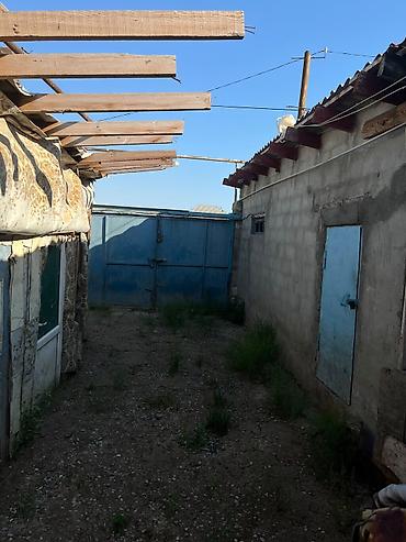 Недвижимость: Bağ sahəsi və yardımçı tikili - Üzüm tağları ilə örtülü, yaşıllıqla — 2