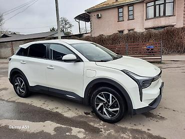 JMEV: JMEV : 2022 г., Электромобиль, Кроссовер — 2