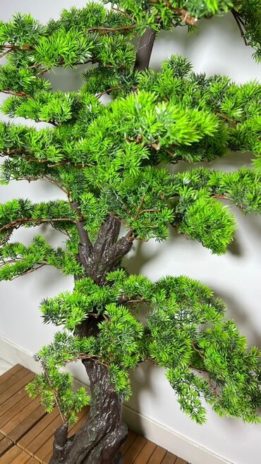 Süni güllər: Süni bonsai ağacı – dekorativ içməkan yaşıllaşdırma üçün - Realistik — 2