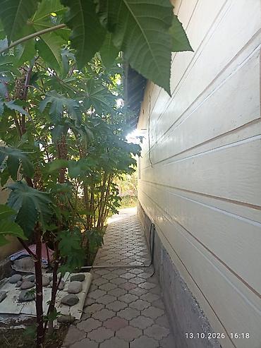 holiday house: 4 комнаты, 133 м², 5 соток, Аламедин (ГЭС-2), Собственник — 4