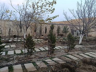 Həyət evləri və villalar: Binəqədi qəs. 8 otaq, 300 kv. m, Yeni təmirli — 10
