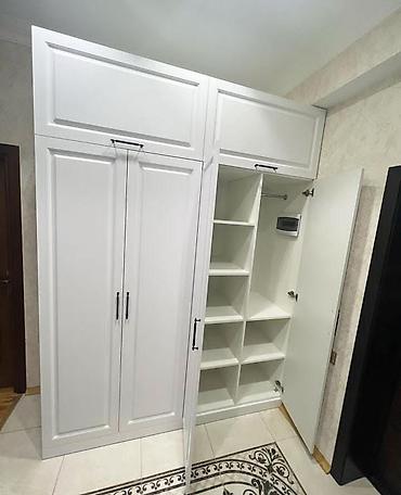 Sifarişlə dolablar: Düz dolab, Dəhliz üçün, Yataq otağı üçün, Paltar üçün, Açılan, Korpuslu, 5 qapı — 5