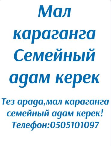 работа для детей 12 лет с зарплатой в бишкеке: Талап кылынат Малчы, Төлөм Күн сайын