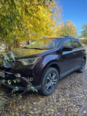 matiz автомат коробка: Toyota RAV4: 2017 г., 2.5 л, Автомат, Бензин, Кроссовер