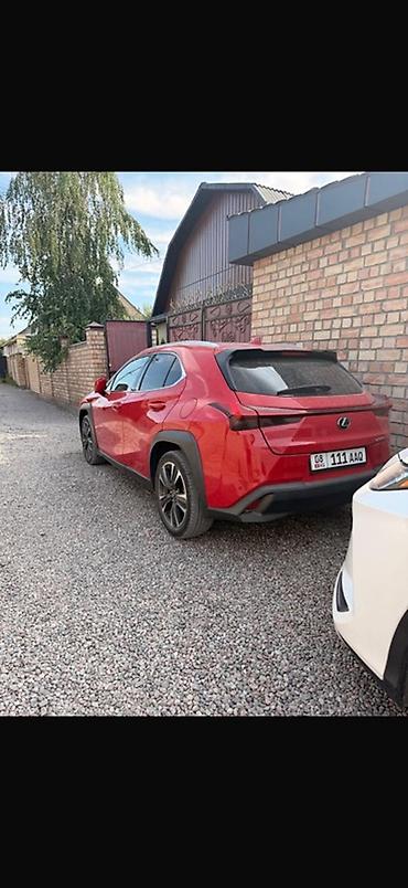 Lexus: Lexus UX: 2019 г., Кроссовер — 3