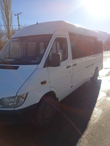 Mercedes-Benz: Mercedes-Benz Sprinter: 2003 г., 2.9 л, Механика, Дизель, Бус