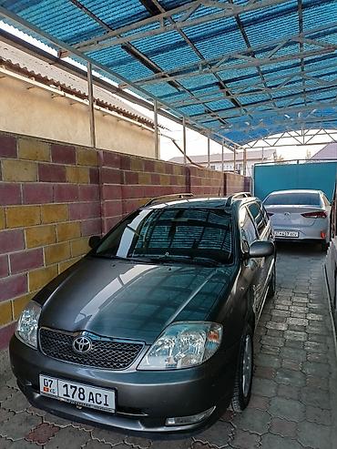 окончательно: Toyota Corolla: 2002 г., 1.6 л, Механика, Бензин, Универсал — 1