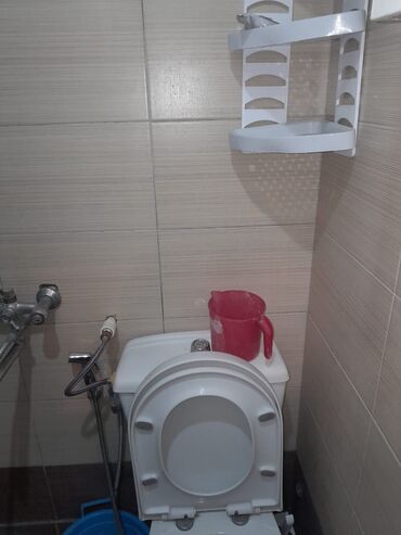 Çöl bitkiləri: Zabrat 2 stansiyasına yaxındir. sənəd kupça avtobus dayanacağına — 16