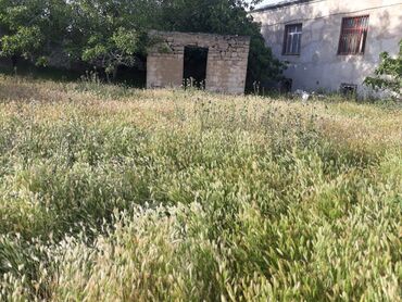 Torpaq sahələrinin satışı: 12 sot, Makler, Kupça (Çıxarış) — 9