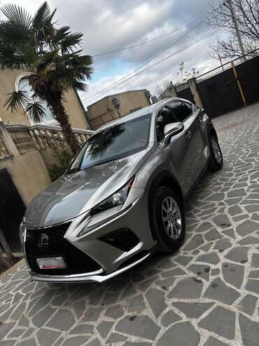 Lexus: Lexus NX: 2019 г., 2 л, Вариатор, Бензин, Кроссовер