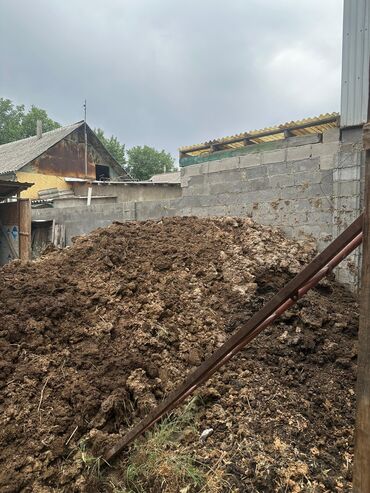 объявления о находке документов: Навоз для удобрения даром
Самовывоз