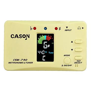 Gitaralar: Cason
model: csm 790 — 1