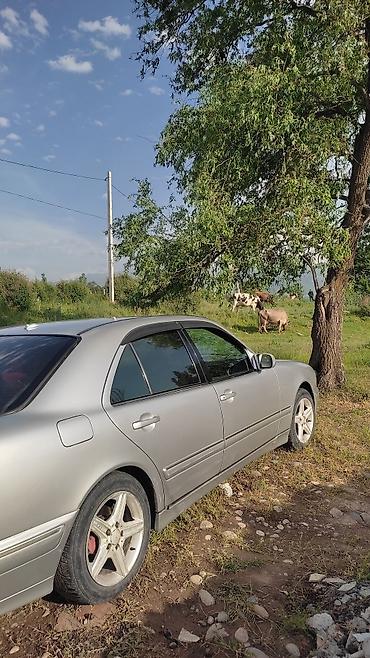 w210 2 2: Mercedes-Benz E-Class: 2002 г., 2.2 л, Автомат, Дизель, Седан — 7