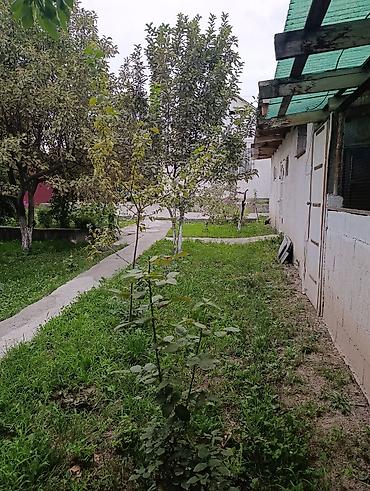 Продажа дачи: Навес/веранда у дома - Просторный навес на опорах, примыкает к стене — 6