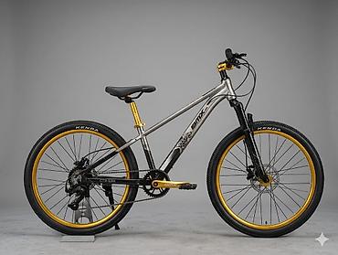 24 velosiped: AMX uşaq/yeniyetmə dağ velosipedi - Gediş növü: şəhər və yüngül — 3
